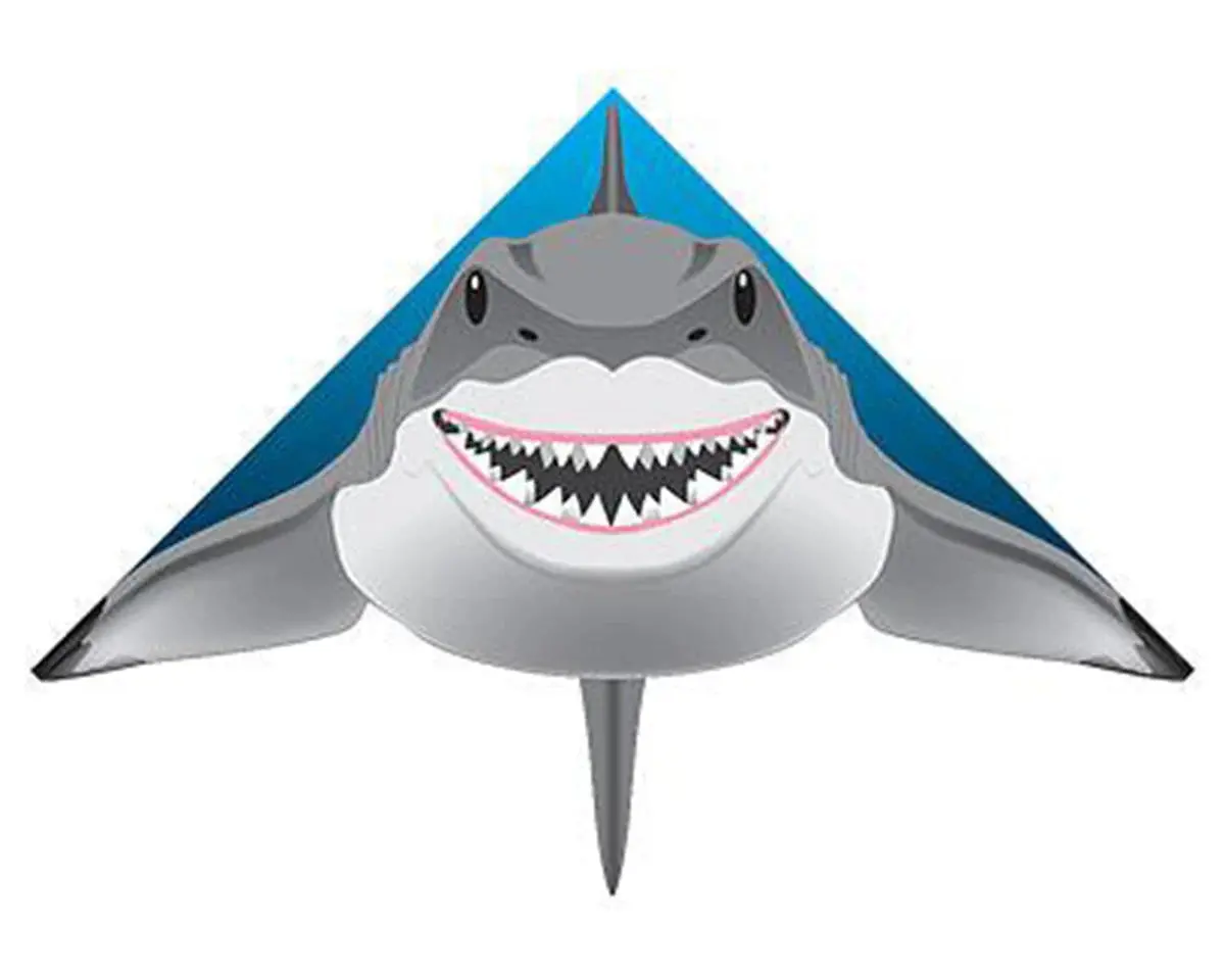 Brain Storm Products Flying Kites: (Multiple Styles Available) 1