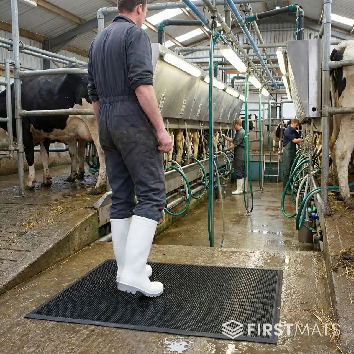 Rubber Disinfectant Footbath Mats 1