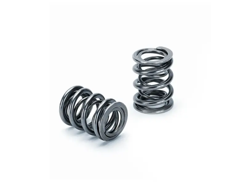 Supertech Dual Valve Spring Kit For Honda H22A1 And H22A4 Engines – Set Of 16 1